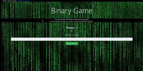 Binary Game Screen Shot